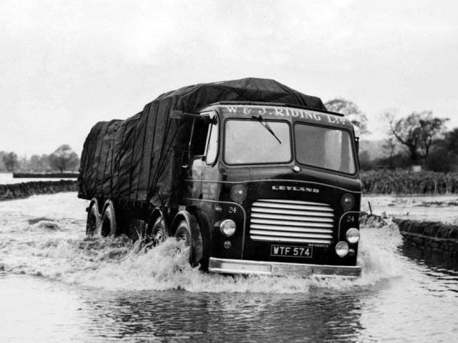  Leyland Octopus 1950 года  (фото 1 из 7)